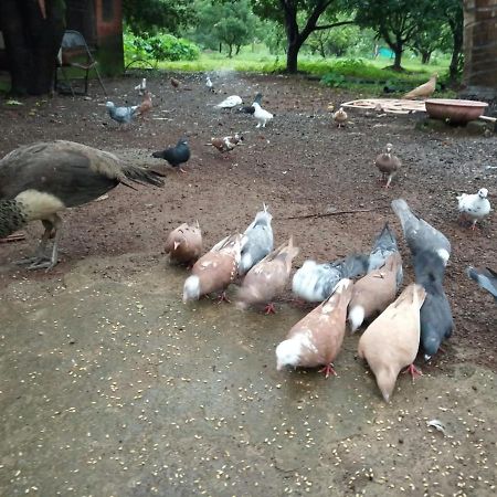 The Avi'S Village Chinchavli ภายนอก รูปภาพ